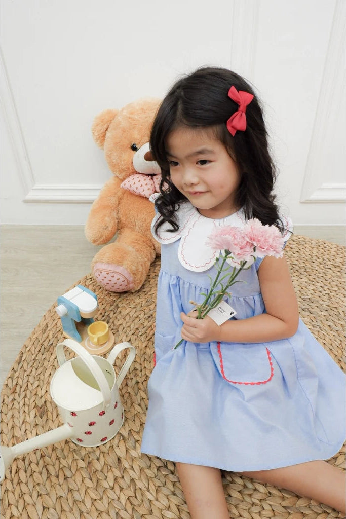 Britton Flower Collar Girl Dress – Playful Oxford Dress