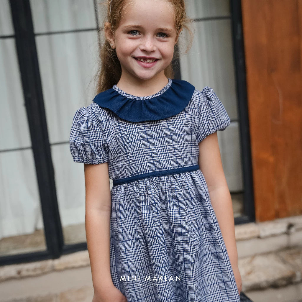 Dakota Blue Dress – Eaton Checked Elegance