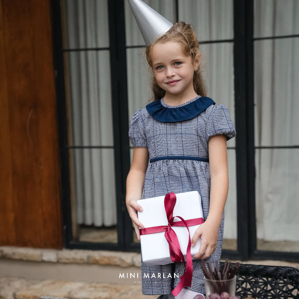 Dakota Blue Dress – Eaton Checked Elegance